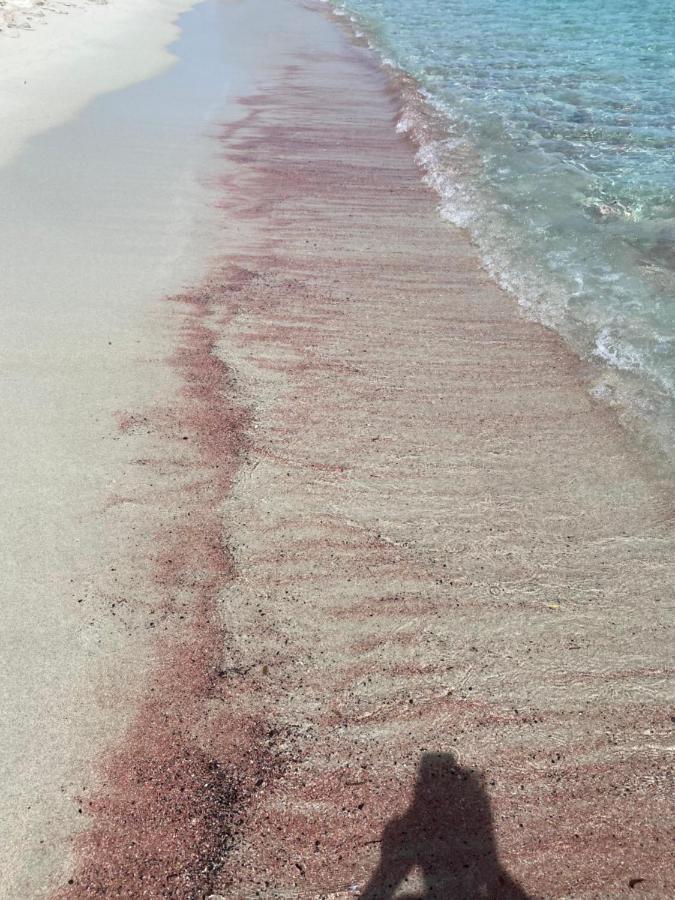 Le Cocon Bord De Mer Belgodère Zewnętrze zdjęcie